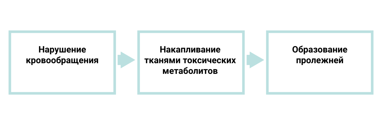 Пролежни: стадии, лечение, профилактика у лежачих больных